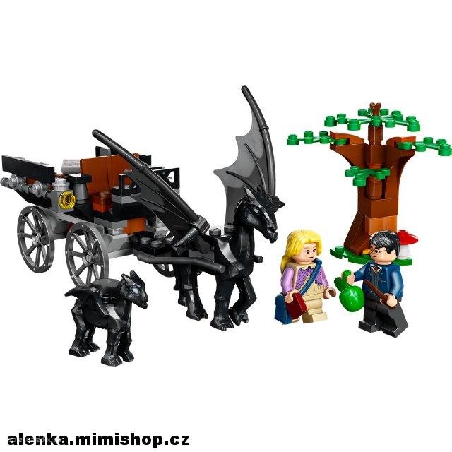 LEGO® Harry Potter™76400 Bradavice: Kočár a testrálové