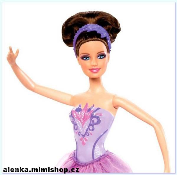 Barbie™ in the Pink Shoes Basic Ballerina Doll