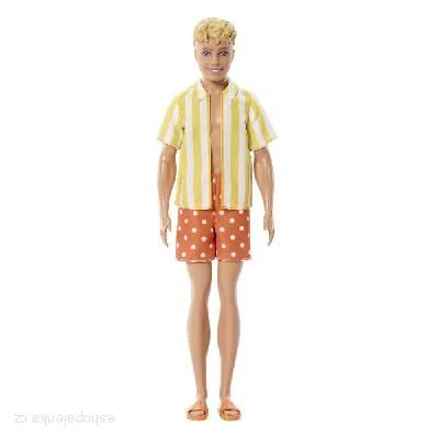 BARBIE FASHIONTAS > varianta JJN66