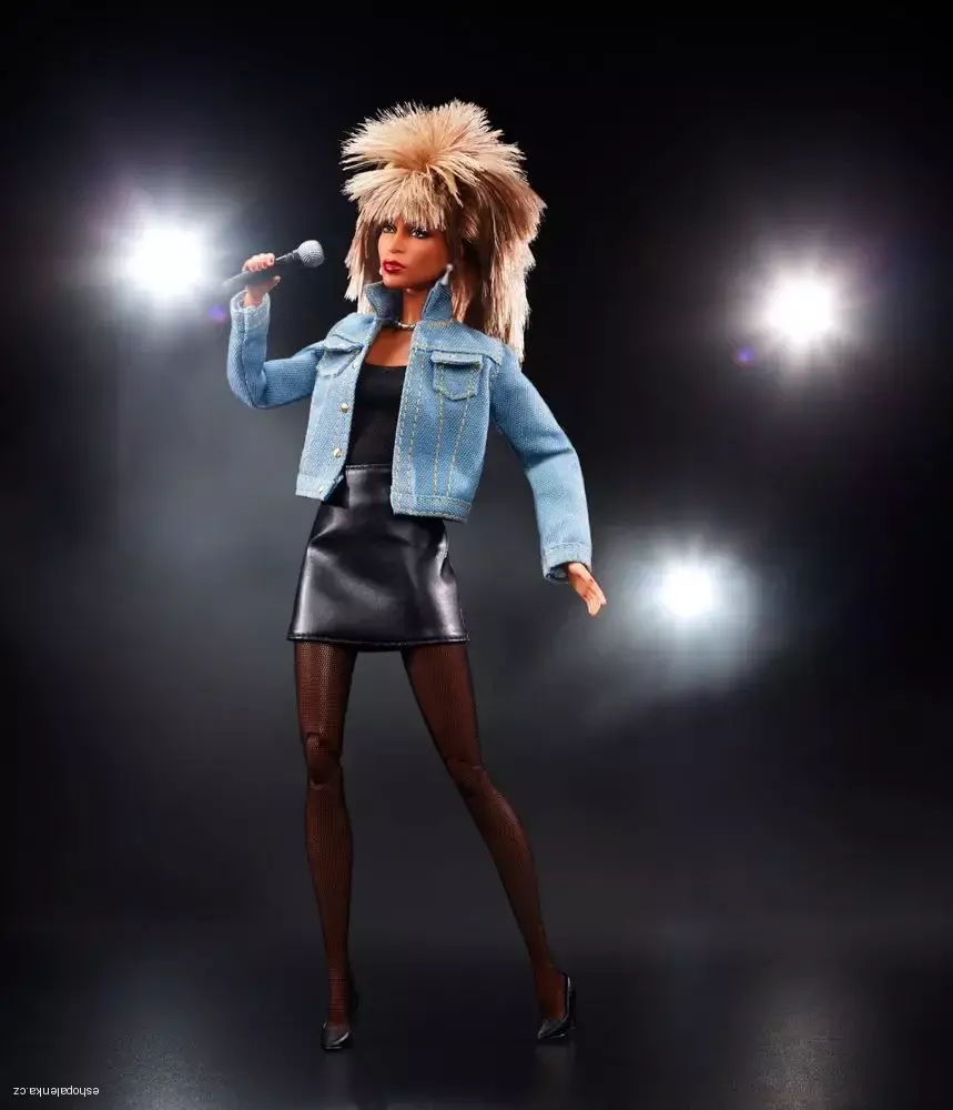 BARBIE COLLECTOR TINA TURNER