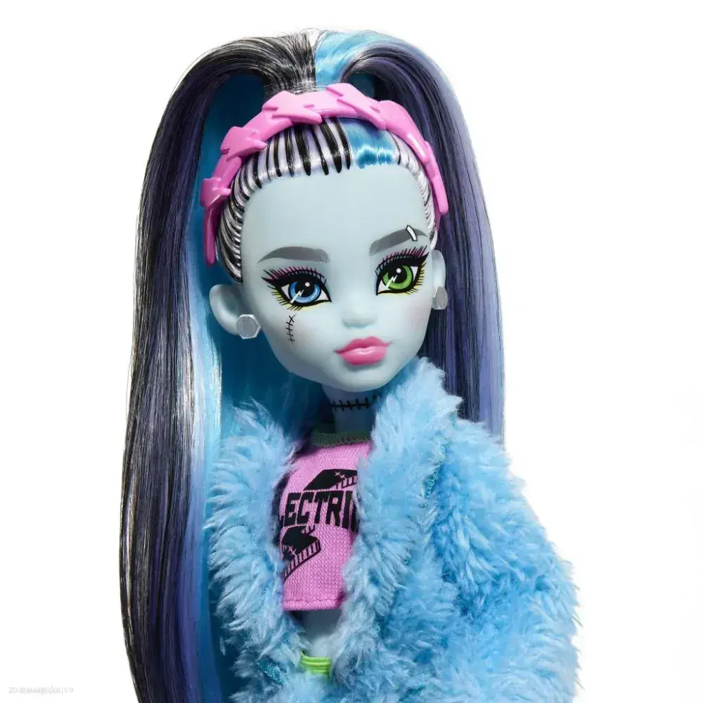 Monster High™ Frankie Stein™ CREEPOWER PARTY