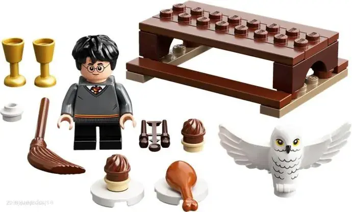 LEGO® Harry Potter™ 30420 Hedvika a nové koště