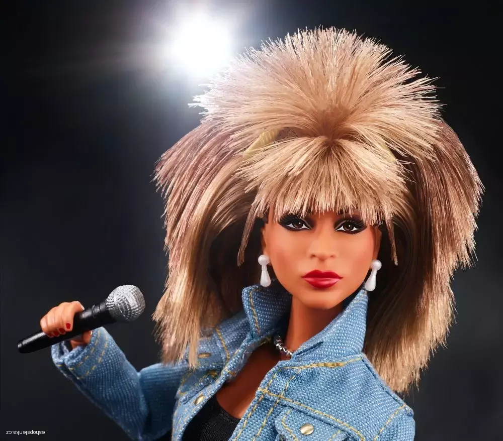 BARBIE COLLECTOR TINA TURNER