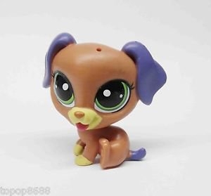 LPS jednotlivá zvířátka > varianta Pup Tacaro