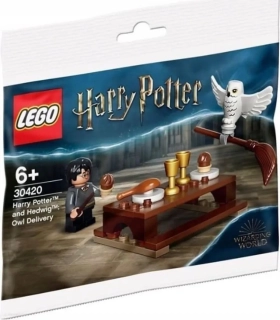 LEGO® Harry Potter™ 30420 Hedvika a nové koště